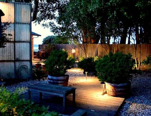 Know Everything About LED Landscape Lighting